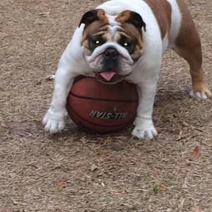 Meet your Posher, Tomas